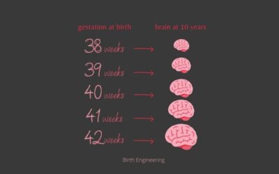 Η ηλικία κύησης στη γέννα και ο εγκέφαλος του παιδιού