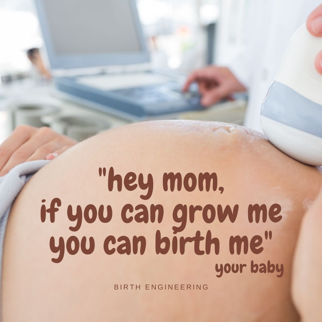 if you can grow me you can birth me